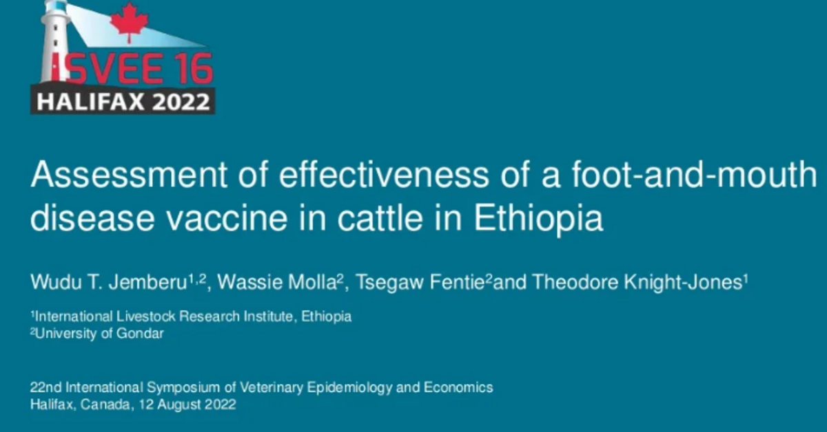 Assessment of effectiveness of a footandmouth disease vaccine in